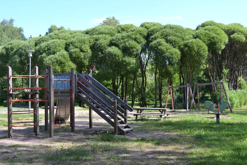 Seljanpuiston leikkivälineiden vieressä kasvaa suuret terijoensalavat.