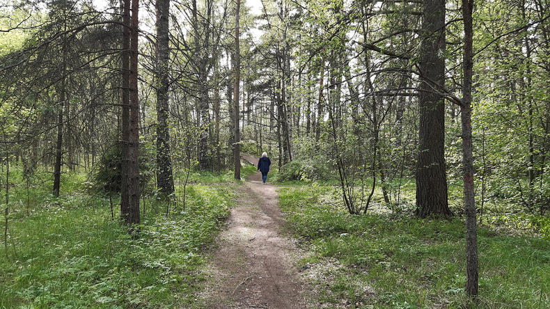 Metsäpolku, jonka toisessa päässä kävelee ihminen.